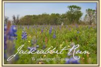 Farm Property in Washington County, Texas