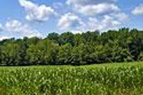 Property in Person County, North Carolina