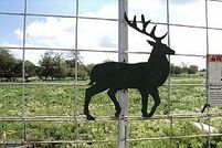 Farm Property in Fayette County, Texas