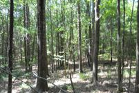 Ranch Property in Hinds County, Mississippi