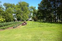 Farm Property in Warren County, Mississippi