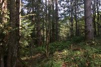 Residential Property in Multnomah County, Oregon