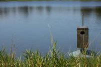Ranch Property in Henderson County, Texas