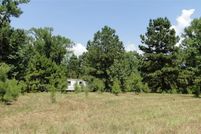 Undeveloped Land in Sabine County, Texas