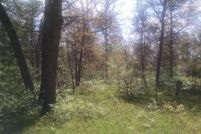 Property in Lake County, Michigan