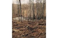 Property in Sawyer County, Wisconsin