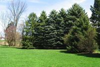 Ranch Property in Genesee County, Michigan