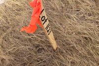 Timberland Property in Comal County, Texas