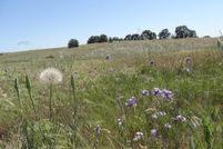 Farm Property in Butte County, California