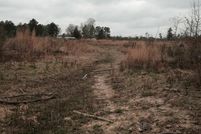 Ranch Property in Nevada County, Arkansas
