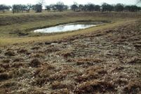 Ranch Property in Wilson County, Texas