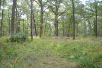 Farm Property in Pike County, Missouri