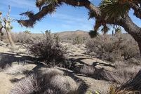 Farm Property in San Bernardino County, California