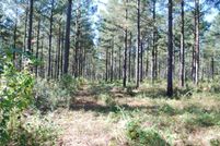 Property in Peach County, Georgia