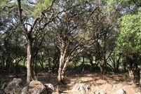 Farm Property in Comal County, Texas