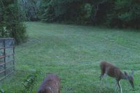 Farm Property in Polk County, Arkansas