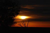 Farm Property in Fleming County, Kentucky