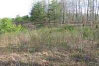 Property in Rockcastle County, Kentucky