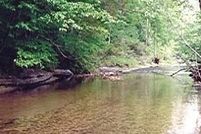 Ranch Property in Wayne County, Tennessee