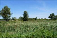 Ranch Property in Clinton County, Michigan