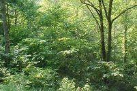 Ranch Property in Rowan County, Kentucky