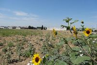 Ranch Property in Madera County, California