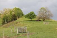 Farm Property in Smyth County, Virginia