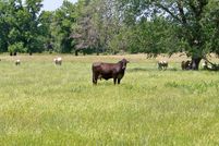 Farm Property in Henderson County, Texas