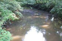 Property in Stokes County, North Carolina