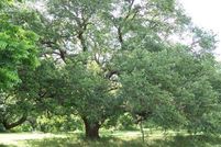 Property in Fort Bend County, Texas