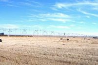 Property in Cheyenne County, Kansas