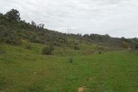 Farm Property in Tazewell County, Virginia
