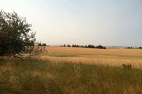 Farm Property in Clearwater County, Idaho
