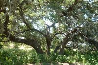 Recreational Property in Comal County, Texas