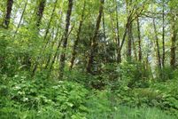 Farm Property in Tillamook County, Oregon