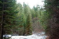 Ranch Property in Clearwater County, Idaho