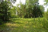 Farm Property in Washburn County, Wisconsin