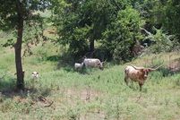 Farm Property in McClain County, Oklahoma