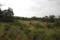 Farm Property in Comal County, Texas