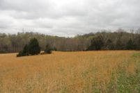 Farm Property in Metcalfe County, Kentucky