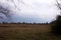 Farm Property in Titus County, Texas