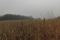 Ranch Property in DeKalb County, Missouri