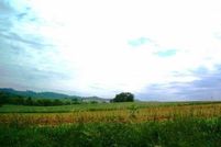 Farm Property in Monroe County, Tennessee