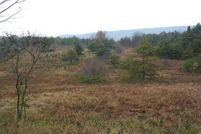 Farm Property in Hardy County, West Virginia
