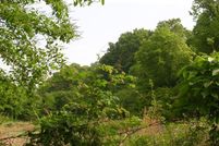 Property in Bowie County, Texas