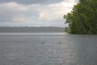 Horse Property in Vilas County, Wisconsin