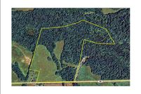 Farm Property in Caldwell County, Kentucky