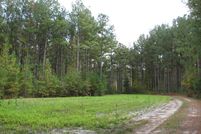 Ranch Property in Effingham County, Georgia