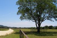 Farm Property in Bandera County, Texas