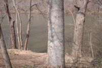 Riverfront Property in Summers County, West Virginia